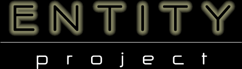 Entity Project
